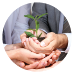 Architecture & Incubation Services Architecture & Incubation Services